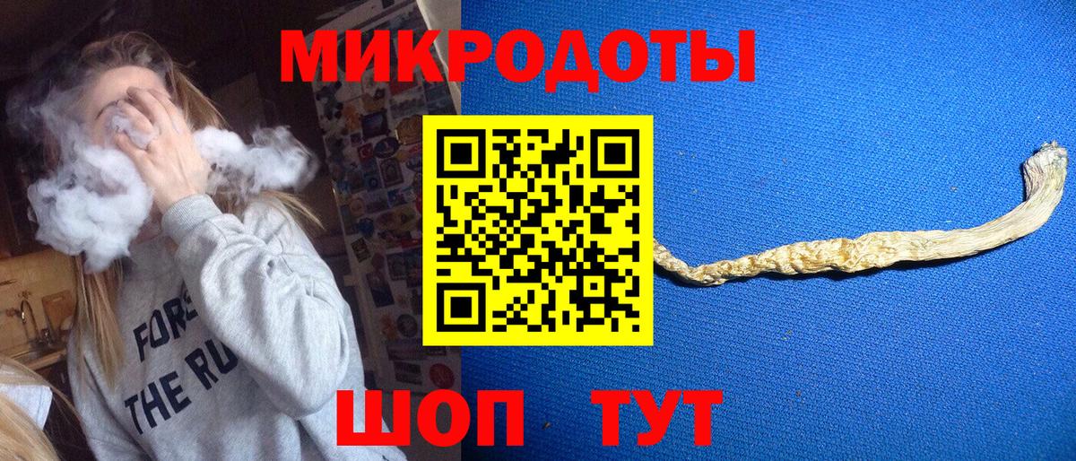 Галлюциногенные грибы мухоморы Россия